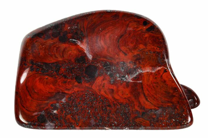 Polished Stromatolite (Collenia) - Minnesota #108588